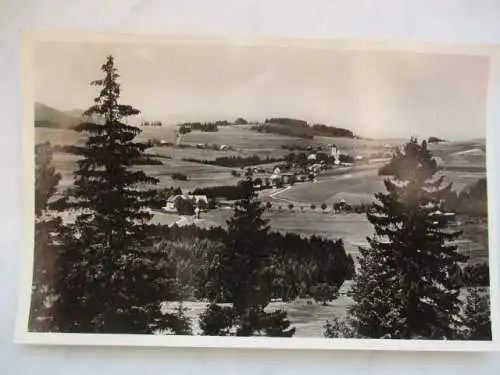 [Echtfotokarte schwarz/weiß] Höhenluftkurort und Wintersportplatz Breitnau
1020 m ü. M.  Station Hinterzarten
Gasthaus und Pension zum "Löwen"
Bes.; A. Hermann - Telef. Hinterzarten  Nr. 159. 