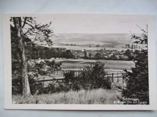 [Echtfotokarte schwarz/weiß] Schöningen
Blick vom Elm auf Esbeck. 