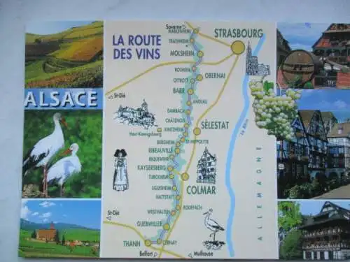 [Ansichtskarte] Alsace (Ellsass)
La Route des Vins. 