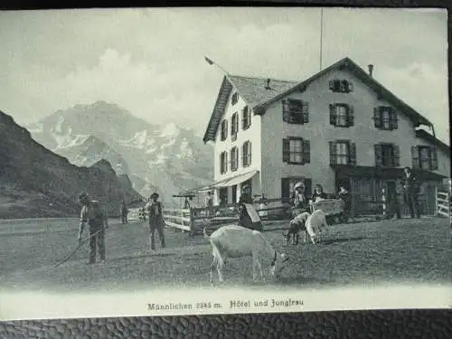 [Lithographie] Männlichen 2345 m Hotel und Jungfrau. 