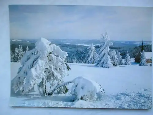 [Echtfotokarte farbig] Winter im Schwarzwald. 