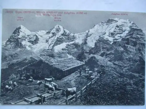 [Lithographie] Eiger (3975 m) Mönch (4105 m) und Jungfrau (4166 m). 