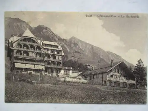 [Lithographie] Château-d’Oex`- La Soldanelle. 