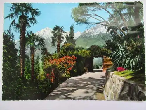 [Echtfotokarte farbig] Merano - Passaggiato Tappeiner. 