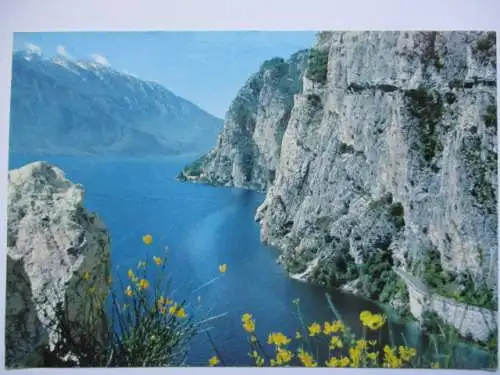[Echtfotokarte farbig] Lago di Garda. 