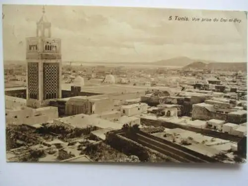 [Lithographie] Tunis Vue prise  du Darel-Bey. 