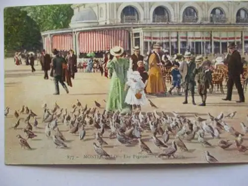 [Lithographie] Monte-Carlo,  -Les Pigeons  -  Cafe de Paris. 