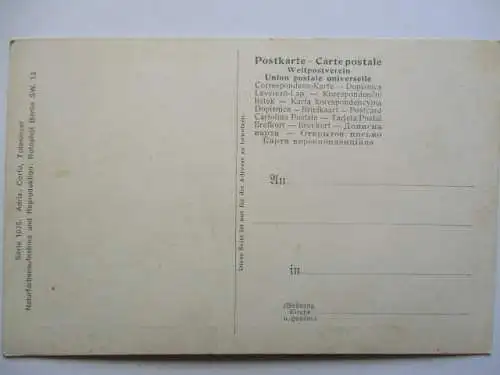 [Lithographie] Adria - Corfu - Toteninsel. 