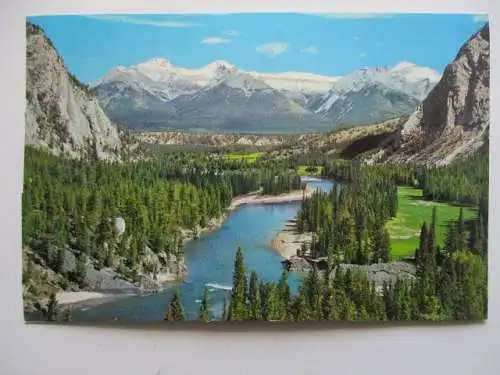 [Echtfotokarte farbig] Canadien Rockies - The Bow Valley. 