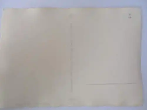 [Echtfotokarte schwarz/weiß] Margeritchen. 