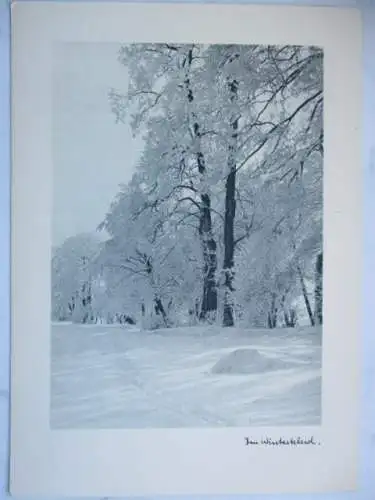 [Lithographie] Im Winterkleid. 