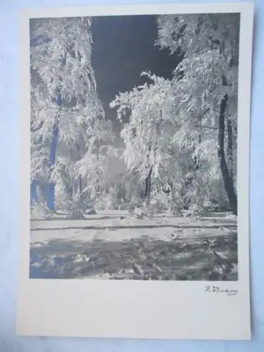 [Echtfotokarte schwarz/weiß] kein Text. 