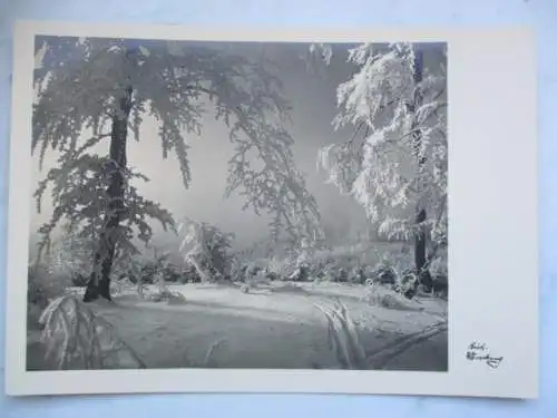 [Echtfotokarte schwarz/weiß] kein Text. 