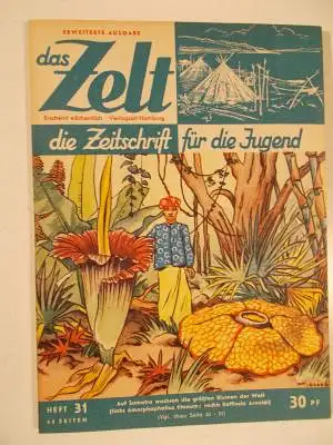 Das Zelt 1. Jhrg. Heft 31. 