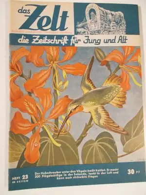 Das Zelt 2. Jhrg. Heft 23. 