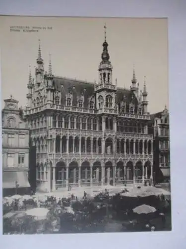 [Lithographie] Bruxelles Maison du Roi Brüssel
Brüssel  Königshaus. 