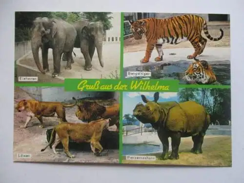 [Echtfotokarte farbig] Stuttgart  Bad Cannstatt
Wilhelma. 