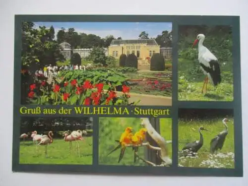 [Echtfotokarte farbig] Stuttgart  Bad Cannstatt
Wilhelma. 