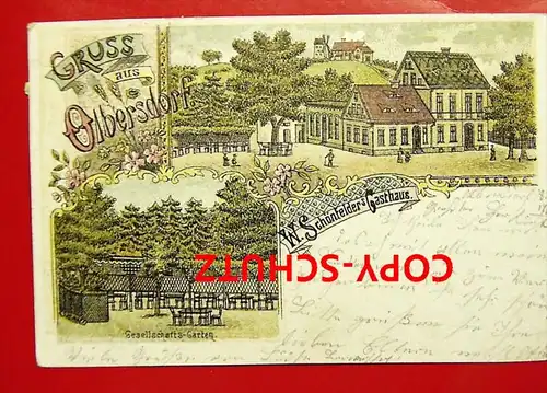 OLBERSDORF Roztocznik Reichenbach - Litho - Gasthaus SCHÖNFELDER - 1901