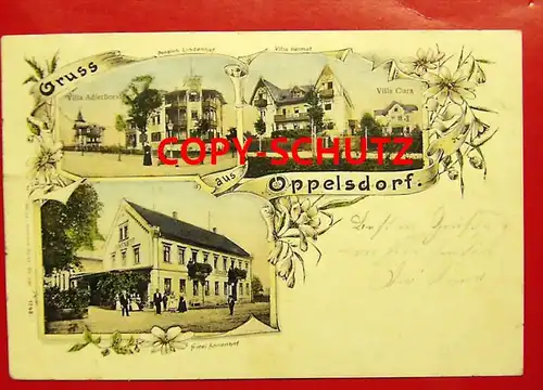 BAD OPPELSDORF Opolno Zdroj Reichenau Zittau - z. B. Hotel ANNENHOF col. - 1906