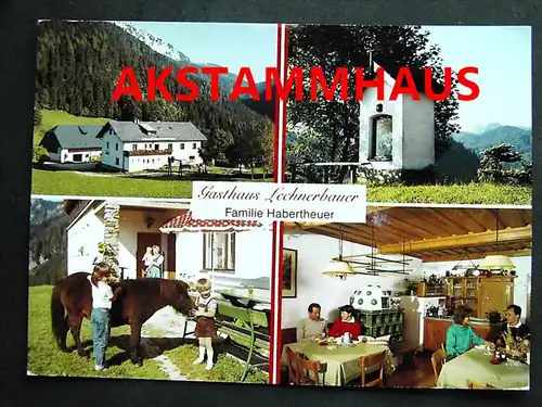 GUSSWERK Bruck Mürzzuschlag Steiermark - Gasthaus LECHNERBAUER + innen - Kinder m. Pony Pferd