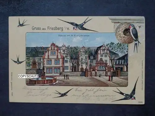 FRIEDBERG Hessen - Litho - Schloß Brunnen Schwalben - leicht geprägt - 1907