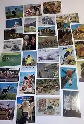 30 Ansichtskarten Tiere Sammlung Posten