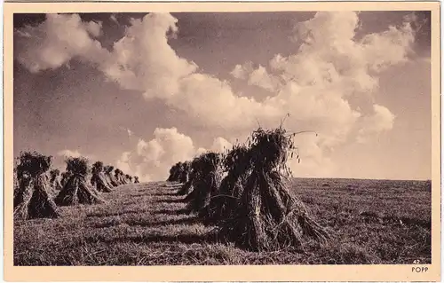 Ansichtskarte  Geerntetes Feld Getreidebündel 1927
