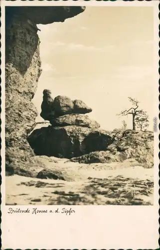 Ansichtskarte Oybin Brütende Henne auf dem Töpfer (Berg) 1932