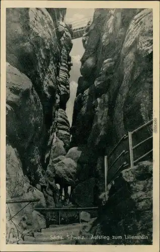 Königstein (Sächsische Schweiz) Der steile Aufstieg am Lilienstein g1957