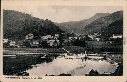 Ansichtskarte Krippen-Bad Schandau Krippen an der Elbe g1937