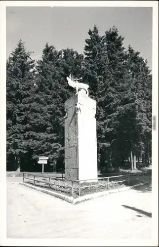 Ansichtskarte Frauenwald Monument 1955