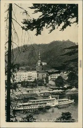 Ansichtskarte Bad Schandau Blick auf die Stadt, Kirche, Elbdampfer 1953