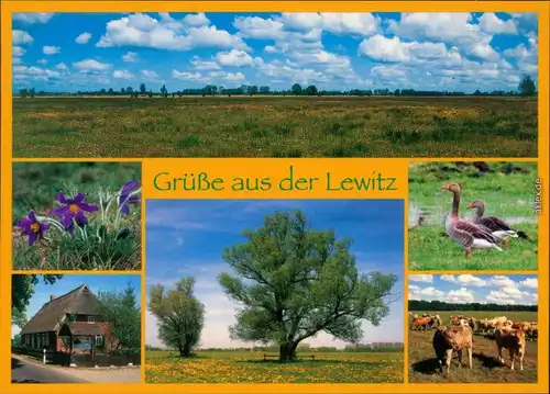 Ansichtskarte Lewitz Naturschutzgebiet 2007