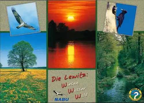 Lewitz Naturschutzgebiet - Fischadler, Schwarzspecht,  Breiter Graben 2000