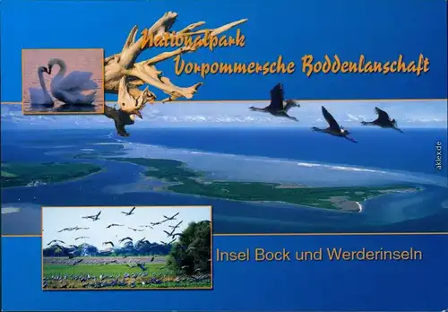 Mecklenburg Vorpommern Vorpommersche Boddenlandschaft Werderinseln 2005