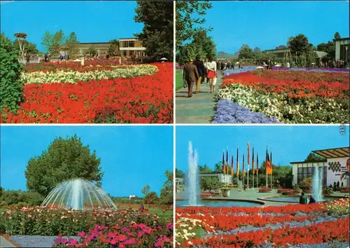 Ansichtskarte Erfurt Internationale Gartenbauausstellung der DDR (IGA) 1977