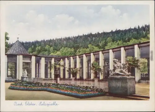 Ansichtskarte Bad Elster Salzquelle 1958