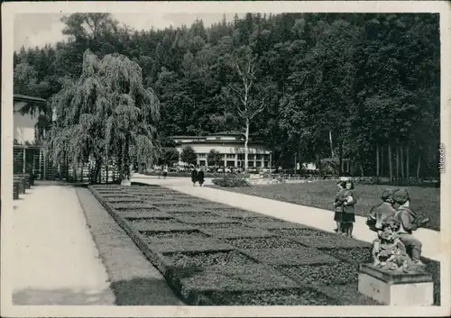 Ansichtskarte Bad Elster Kurgarten 1952