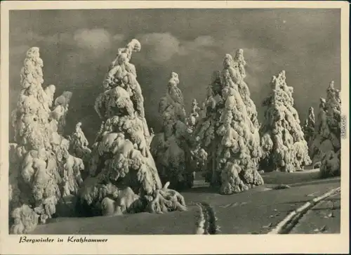 Ansichtskarte Kratzhammer-Altenberg (Erzgebirge) Bergwinter 1959