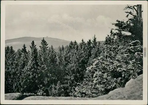 Ansichtskarte Ilsenburg (Harz) Brocken 1954