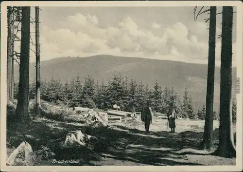 Ansichtskarte Ilsenburg (Harz) Brockenblick, Wanderer 1953