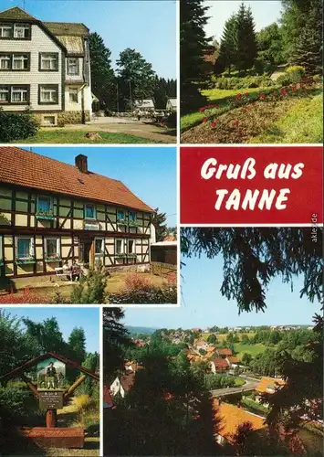 Ansichtskarte Tanne (Harz) Hotelanlage, Garten, Fachwerkhaus, Panorama 1989