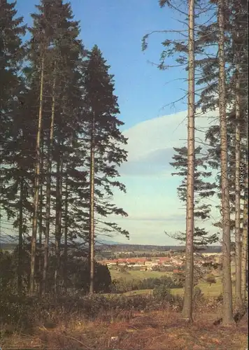 Ansichtskarte Benneckenstein Blick auf die Stadt vom Waldrand aus 1988