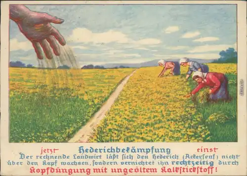 Ansichtskarte  Reklame & Werbung - Düngung - Hederichbekämpfung 1922