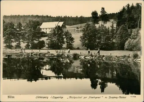 Lichtenberg (Erzgebirge) Forstgasthaus zur Schwingerei mit Burgberg-Freibad 1959 Walter Hahn:12598