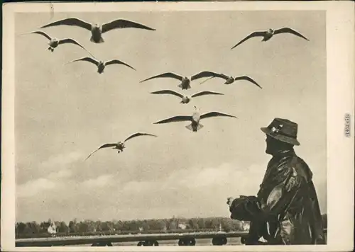 Ansichtskarte  Tiere - Vögel - Auch ein Geschwader 1934