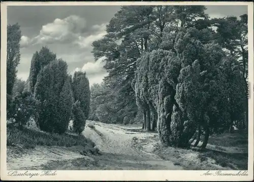 Ansichtskarte _Niedersachsen allgemein Lüneburger Heide - Waldweg 1929