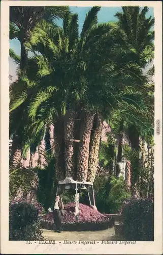 Ansichtskarte Elche Elx Huerto Imperial - Palmen mit Stütze 1931