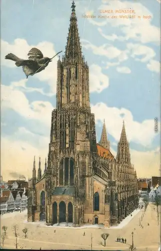 Ansichtskarte Ulm a. d. Donau Ulmer Münster 1911